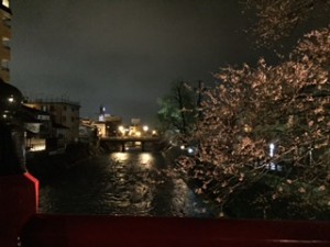 IMG_8014