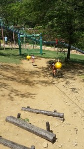 20160505_133118