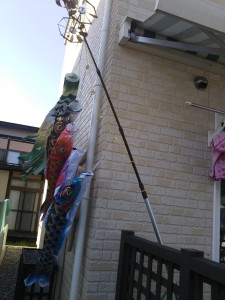 30.4(こいのぼり）