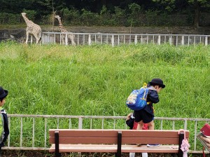 30.10きりん