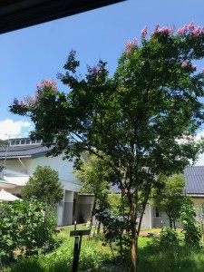 R1.7
