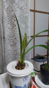 R2.4(1)